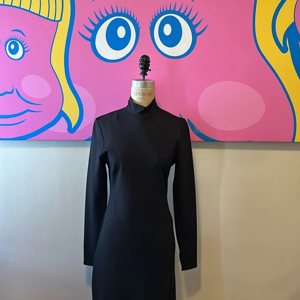 Nonchalant Black Turtleneck Delcan Dress
